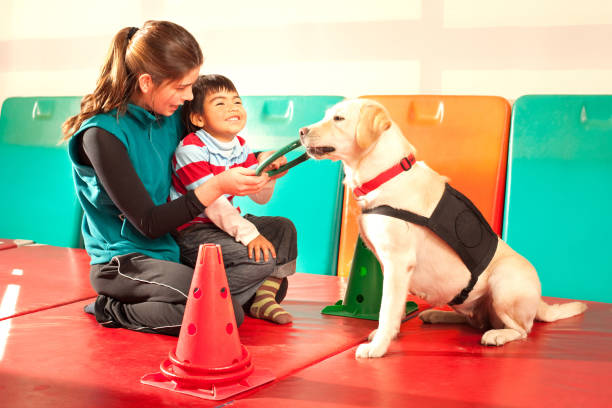 Autism treatment in India